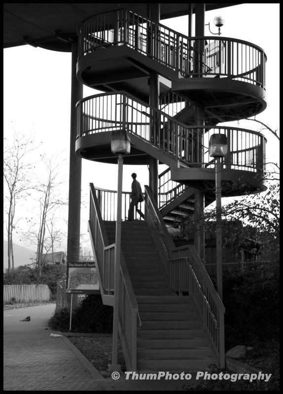 IMAGE: http://i251.photobucket.com/albums/gg304/thumphoto/November2008145-1.jpg