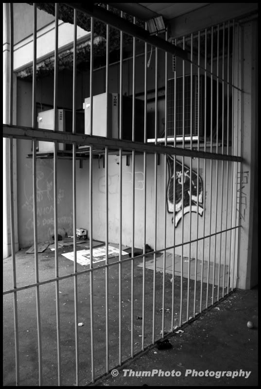 IMAGE: http://i251.photobucket.com/albums/gg304/thumphoto/October2008051-1.jpg