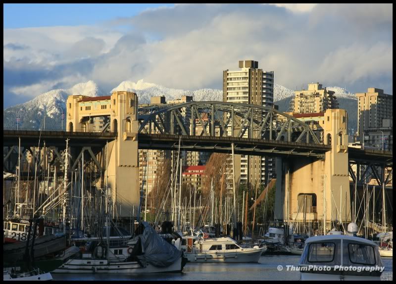 IMAGE: http://i251.photobucket.com/albums/gg304/thumphoto/random290.jpg