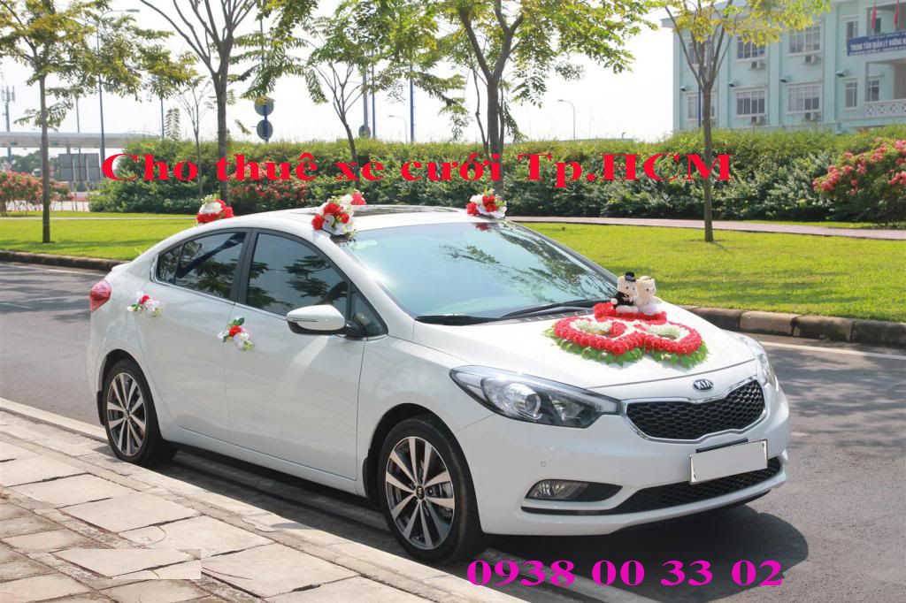 Cho thuê xe du lịch - 8