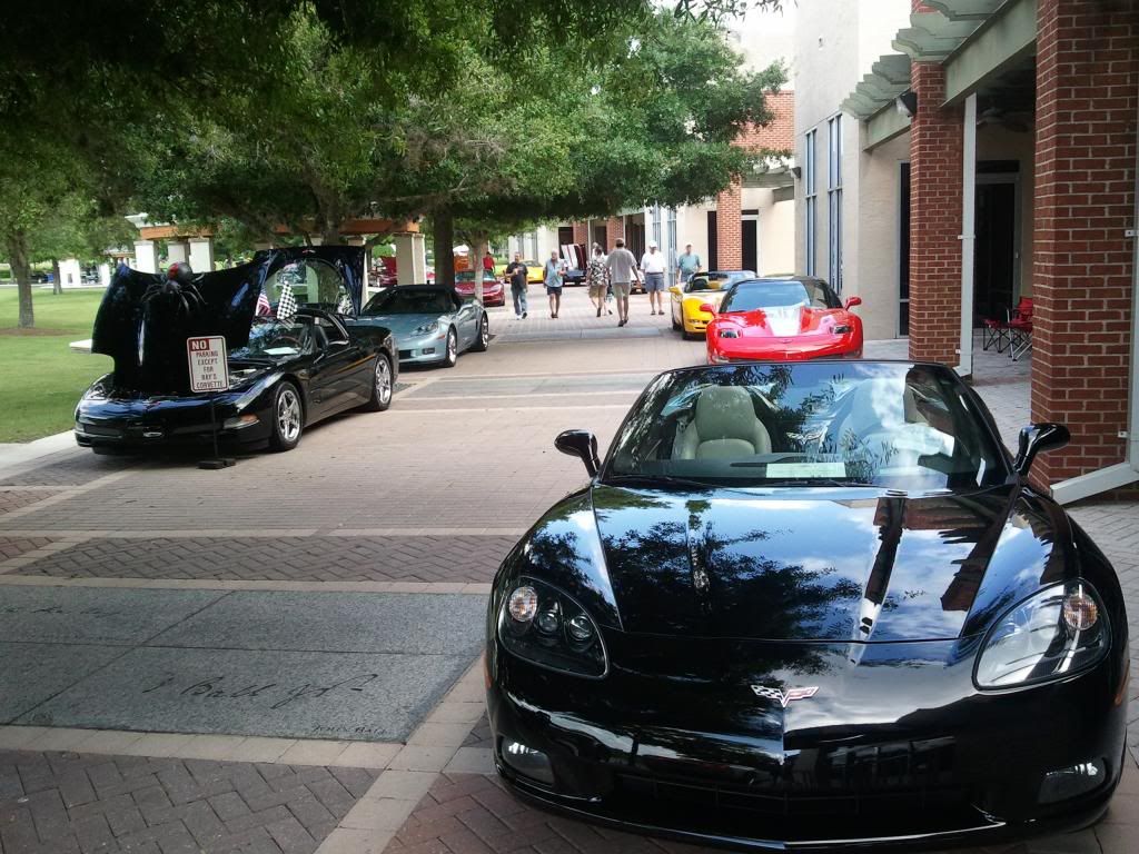 2013-06-15094126.jpg