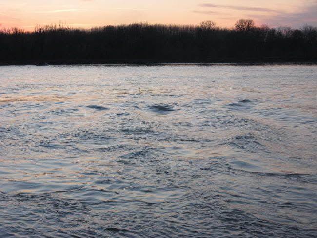 Dunav