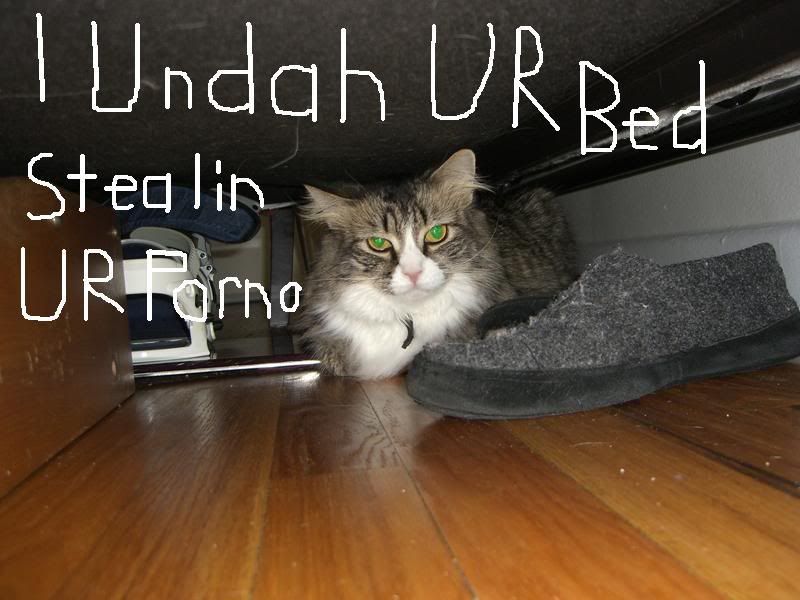 catunderbed.jpg