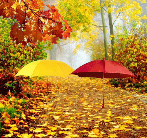 Beautiful Autumn Time Pictures, Images and Photos