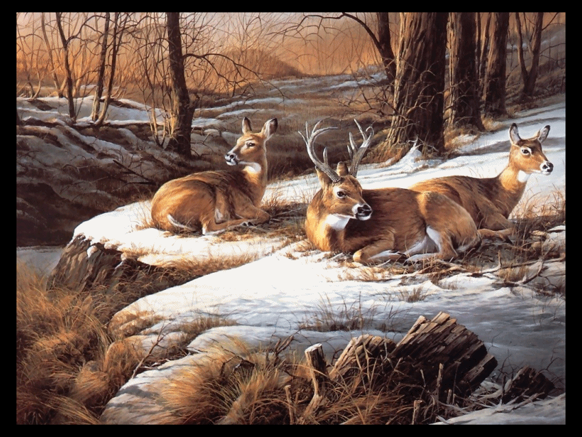 TerryRedlinSunnyAfternoonDeerAnimatedByHG.gif