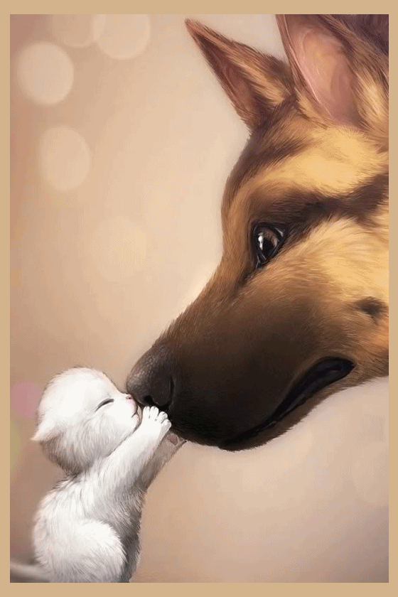Too Cute Thank You Drummergirl For Girl For The Picture Animated By Heather Gill