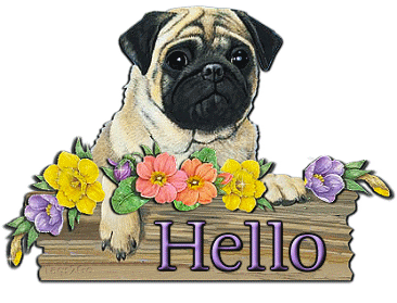 Photobucket Image Hosting