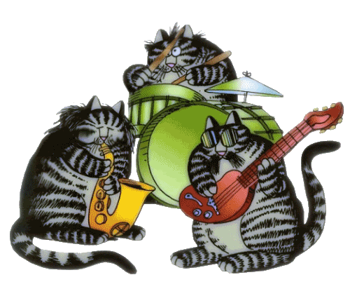 Musical Cats Pictures, Images and Photos