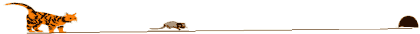 catbar2.gif