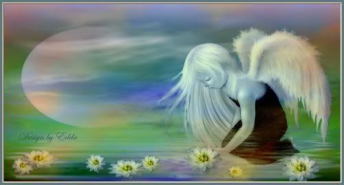 http://i251.photobucket.com/albums/gg308/Lissi_2008/Karin%20Lissi/Seengel.jpg?t=1267270840