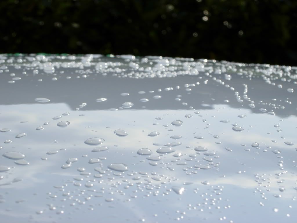 carpics026.jpg