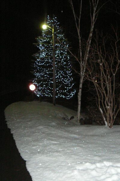 Один день про наш первый Кристмас (Christmas).