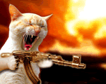 MachineGunKitty.gif image by barflyglasgow