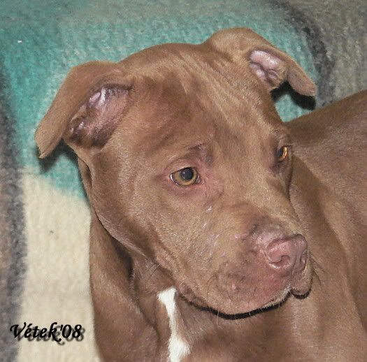 2007-03-12012Bady.jpg