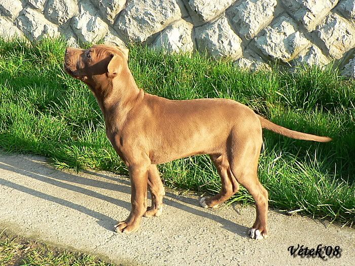 2007-03-17017Bady.jpg