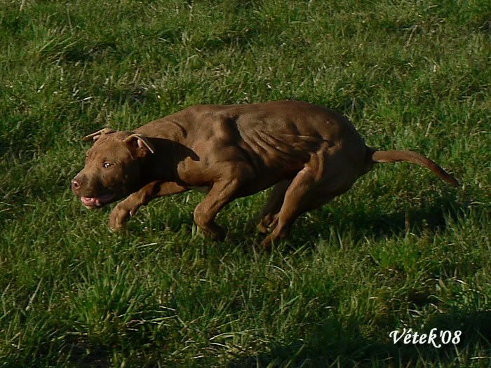 2007-03-30031Bady.jpg