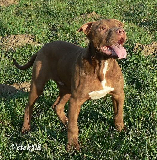2007-03-30092Bady.jpg