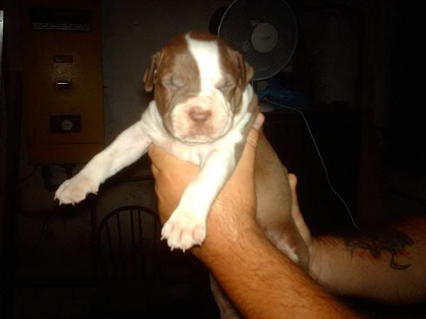 IMAG0094.jpg