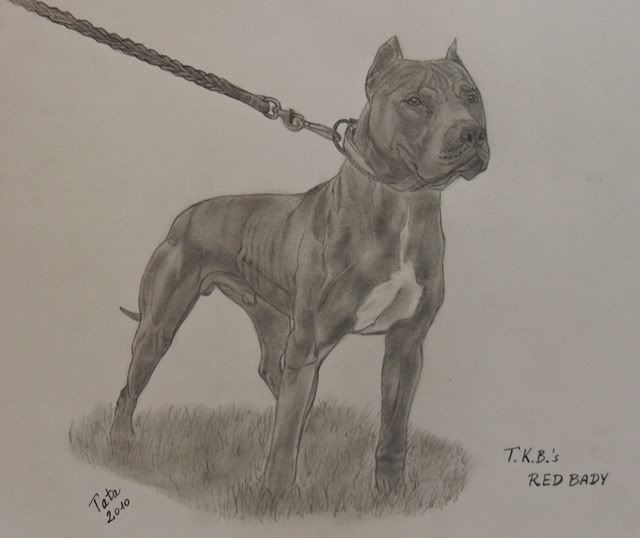 RedBady-1.jpg