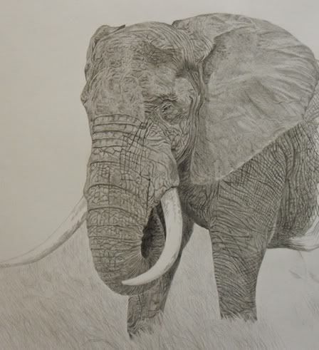 jumbo.jpg