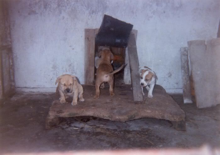 Scan20004.jpg