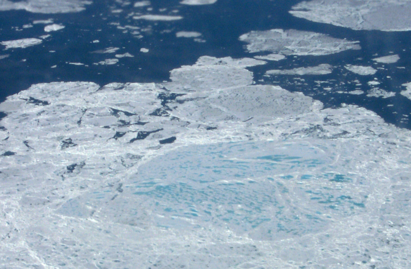 Arctic sea ice June 2000