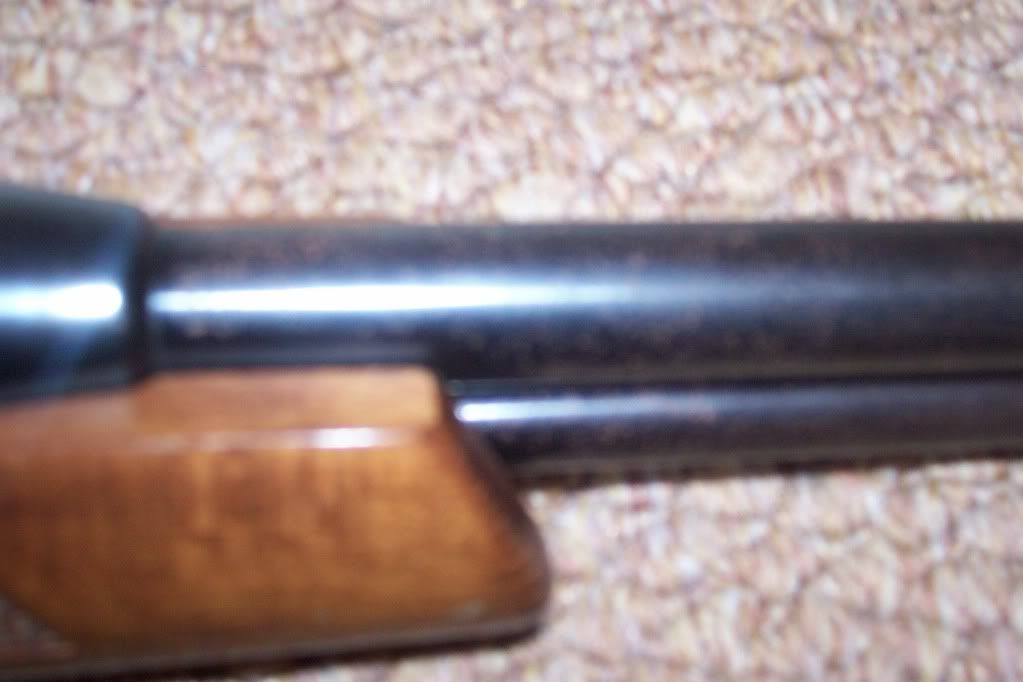 010-4.jpg?t=1294427922