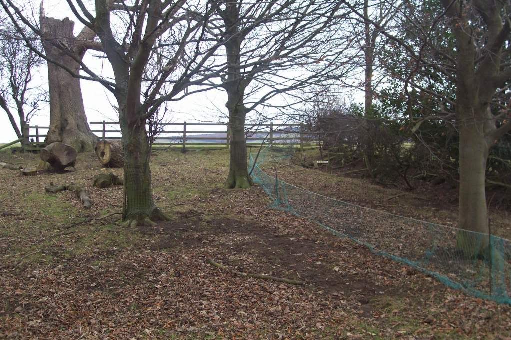 012-2.jpg?t=1294078669