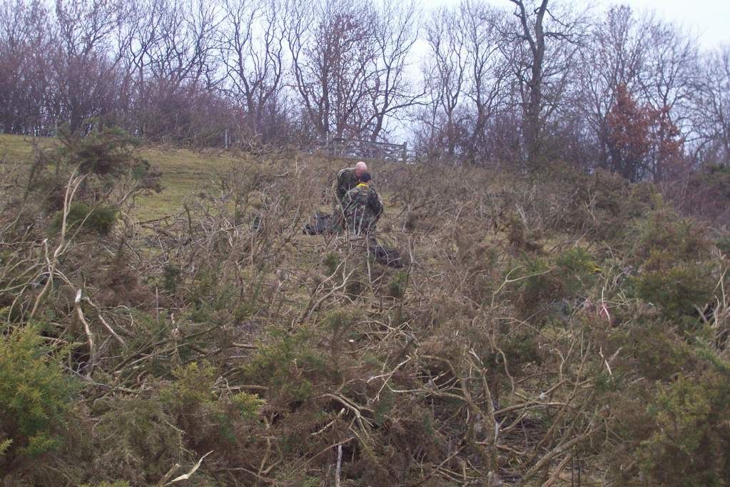 014-2.jpg?t=1294078669