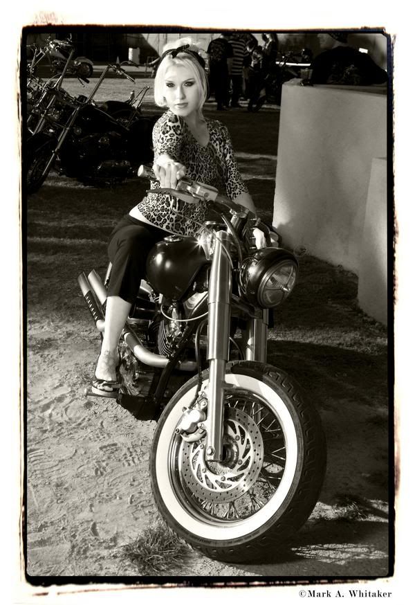 http://i251.photobucket.com/albums/gg312/vanessavnt/l_4dd9bfe22d9f4297802deba4ab2bcb80-1.jpg