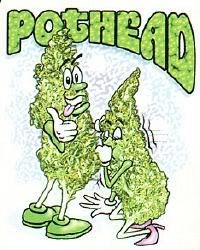 POT HEAD Pictures, Images and Photos