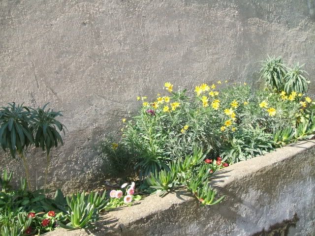 miste021-4.jpg
