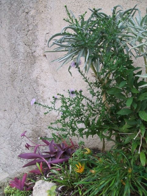 miste034-3.jpg