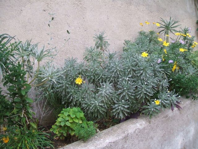 miste035-1.jpg