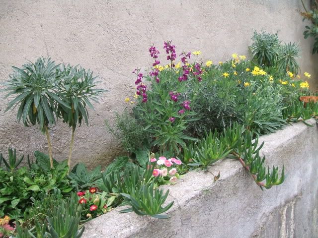 miste042-1.jpg