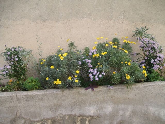 miste049-5.jpg