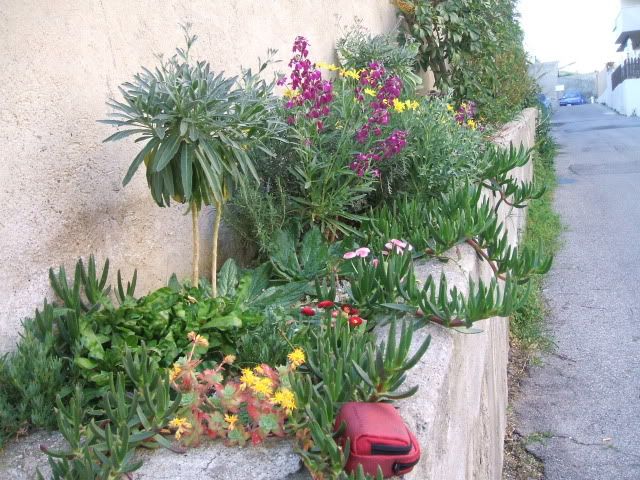 miste050-2.jpg
