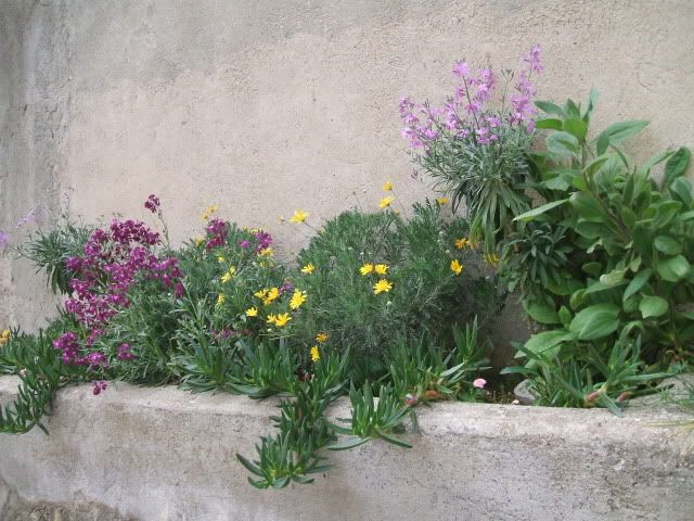 miste053.jpg
