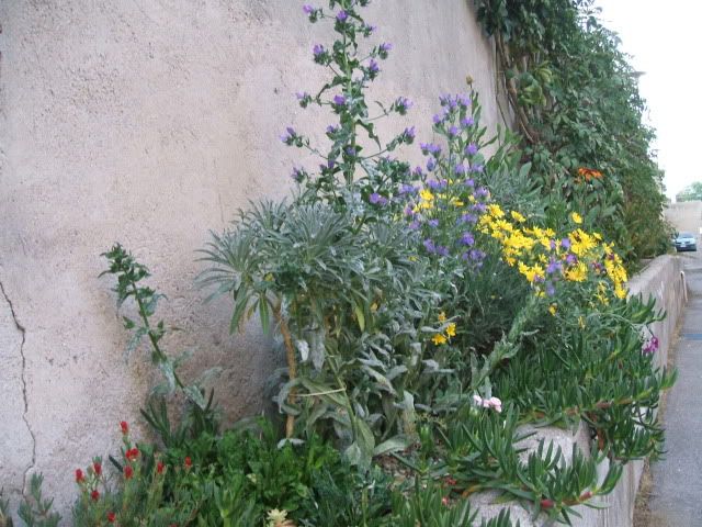 miste383-1.jpg