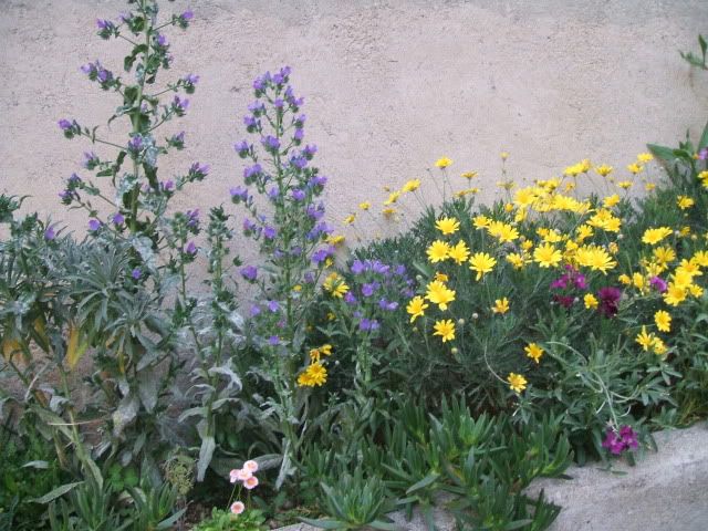 miste388-1.jpg