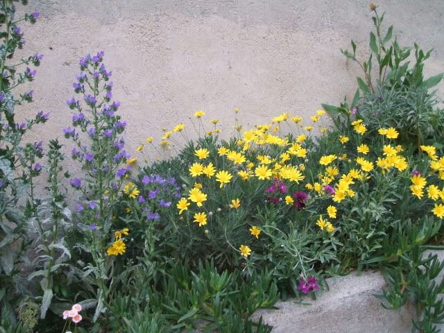 miste389-2.jpg
