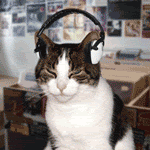 th_Cat_With_Headphones-1.gif