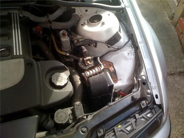 Bmw e46 330d fuel filter replacement #4