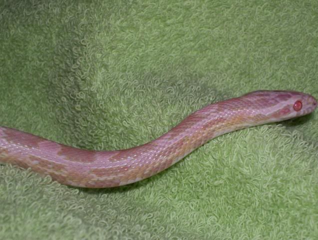 b60579b0.jpg
