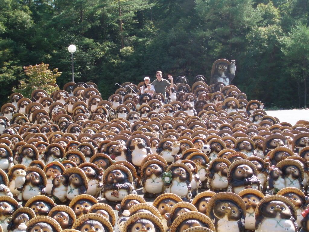 the tanuki army Pictures, Images and Photos