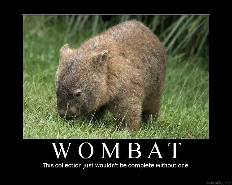 WOMBAT!!!