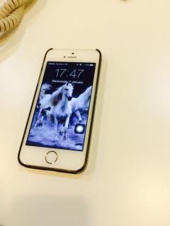 Cần bán iPHONE 5s giá cực tốt, full box chính chủ sử dụng!