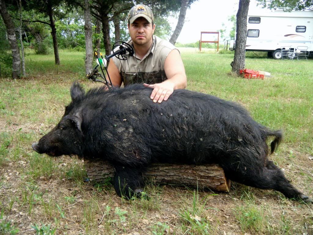 Largest Hog Ever