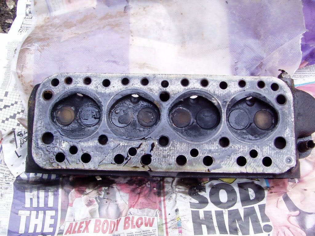 Posted Image