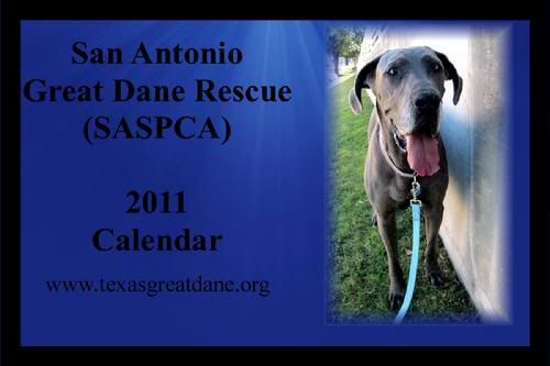 2011 SAN ANTONIO GREAT DANE RESCUE CALENDAR ALL MONIES RAISED SELLING THIS CALENDAR GOES TO THE RESCUE.
